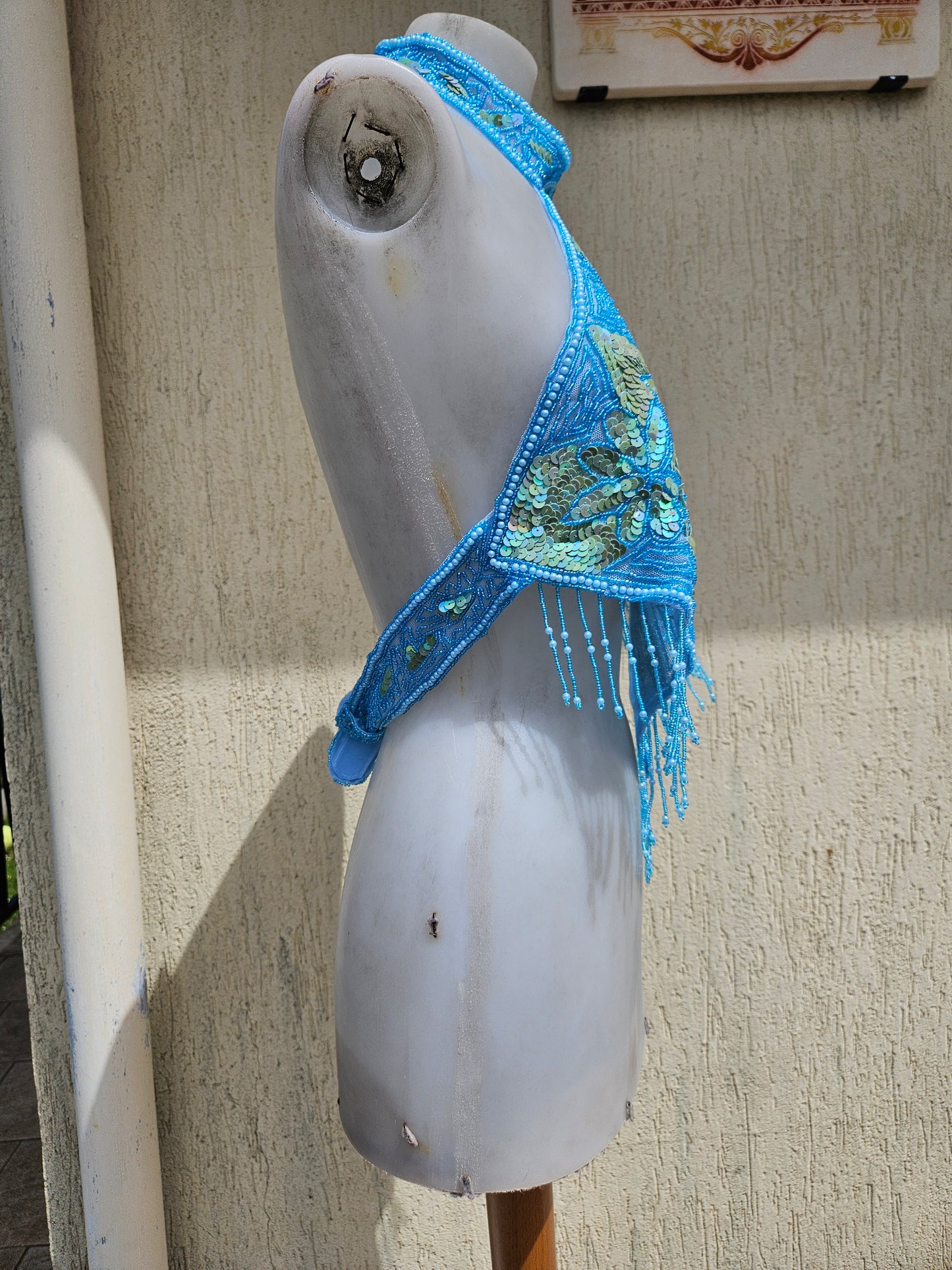 Espalda desnuda bordada en azul y dorado