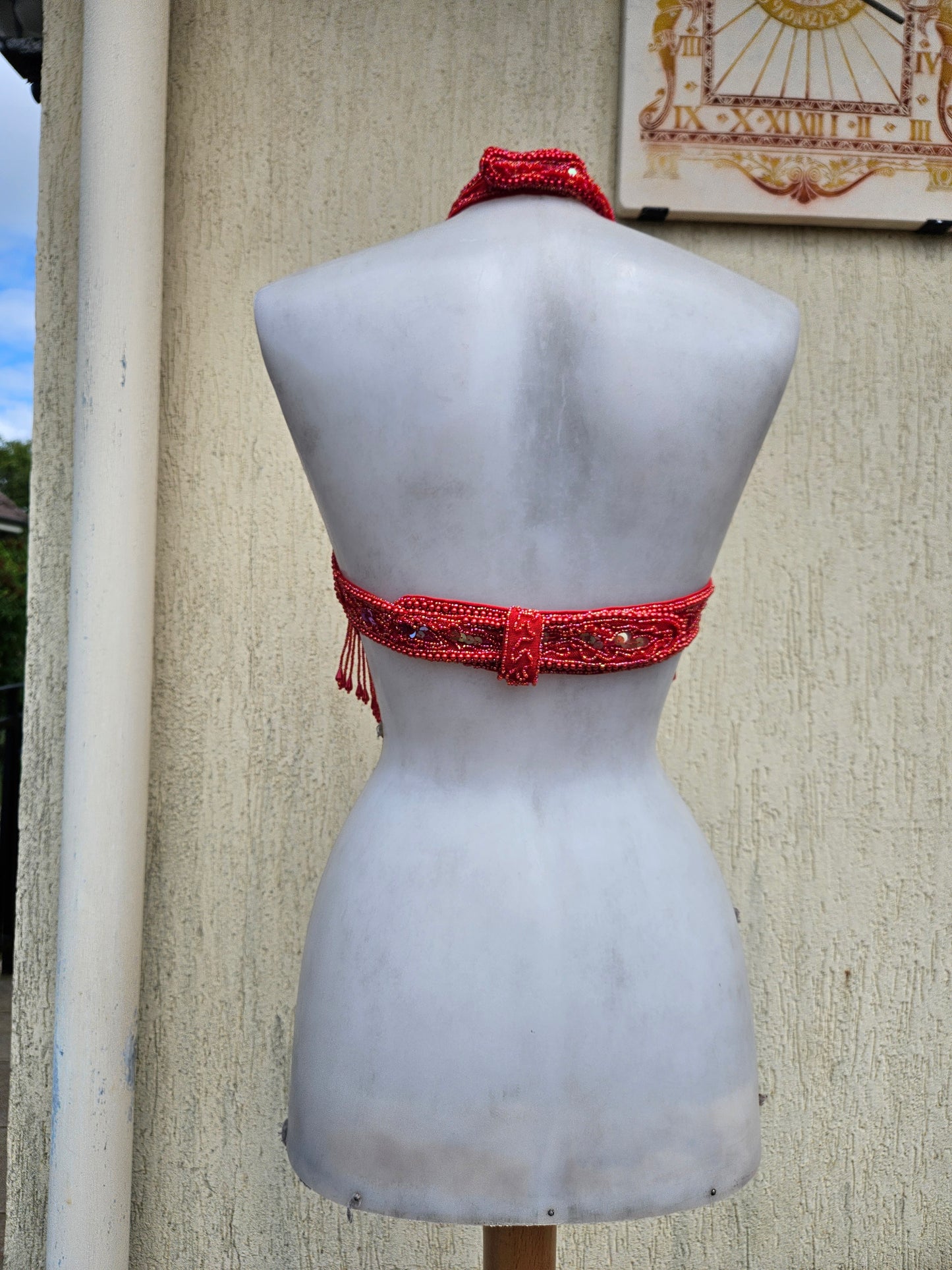 Espalda desnuda bordada en rojo y dorado