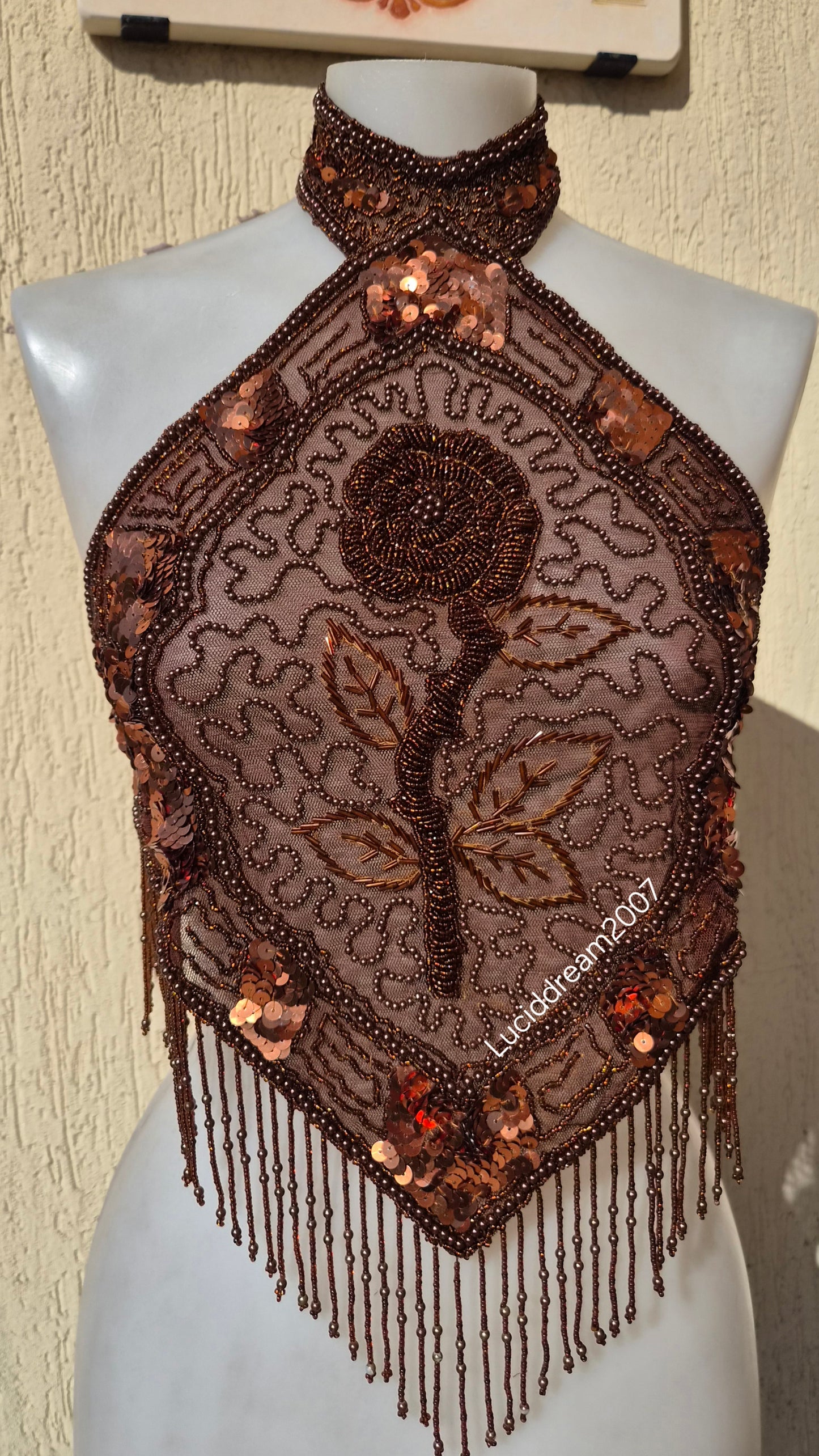 Brown backless top embroidered with beads and sequins